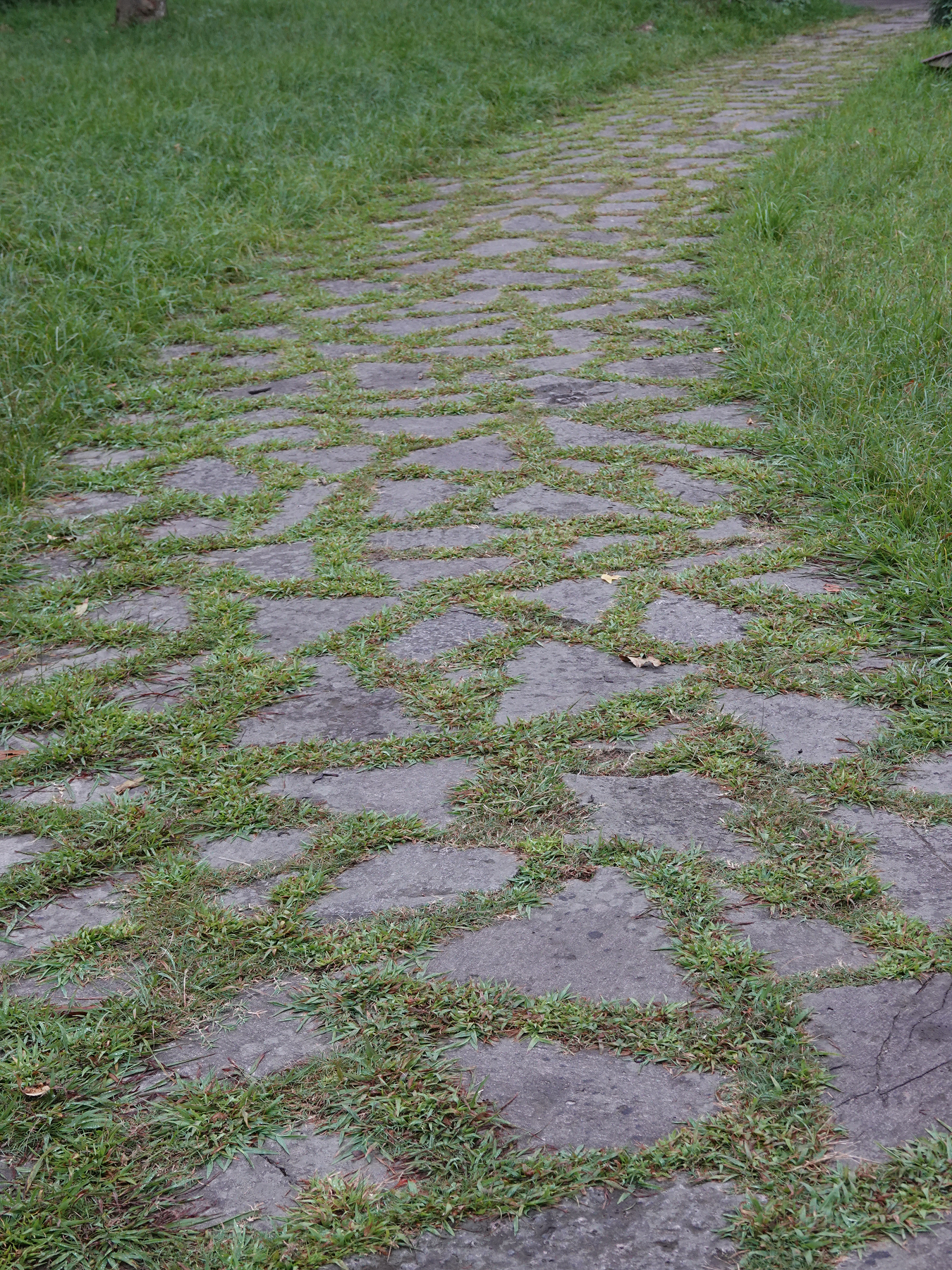 青芝坞民宿离西湖有多远,杭州青芝坞民宿排名榜