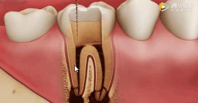 上海雅悦齿科,雅悦齿科医院简介