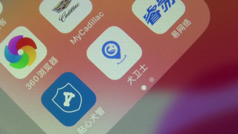 无锡狗狗上狗证,无锡狗狗要办证吗