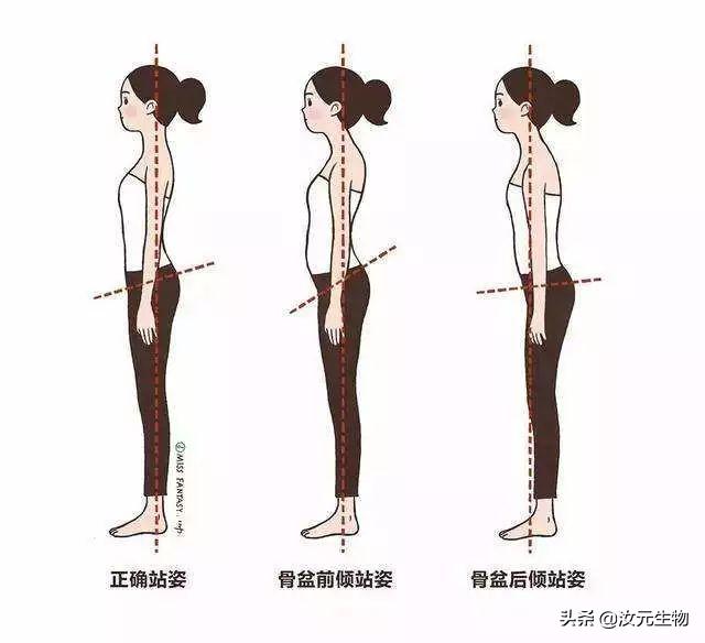 产后骨盆松弛有多可怕