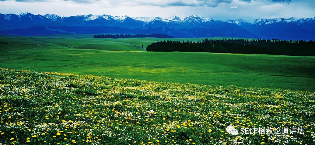 新疆天山申请世界自然遗产,天山为什么被入选为世界自然遗产