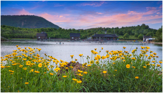 视觉江苏之五：江苏江阴——春风十里，醉美狮山湖！