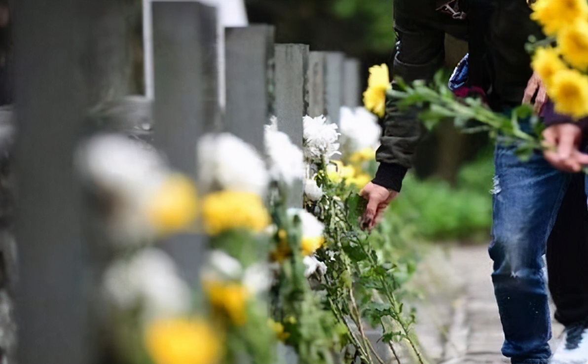 清明节坟前可以拍照吗,国家规定清明节不能祭拜么