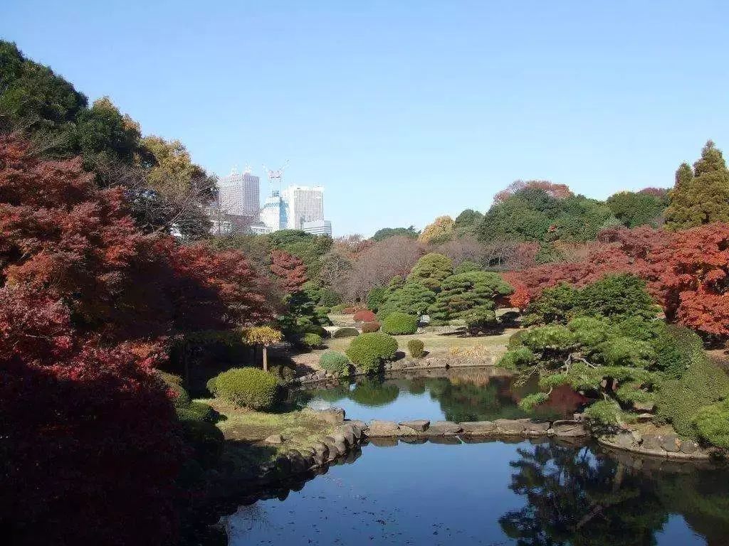 灭蚊神器怕蚊子的人赶紧入手吧,日本户外灭蚊器