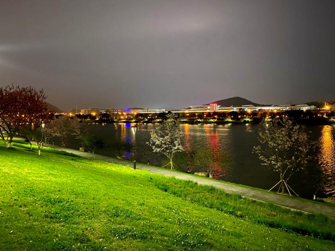 南京的小众景点非常适合一个人去,南京充满森林的公园