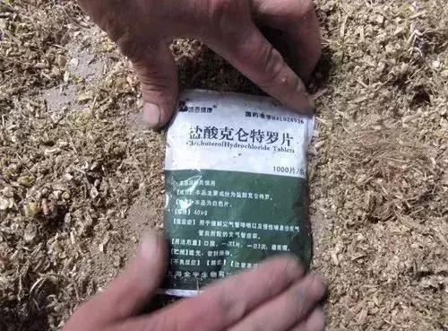 “瘦肉精”屡禁不止，有没有好办法去除瘦肉精