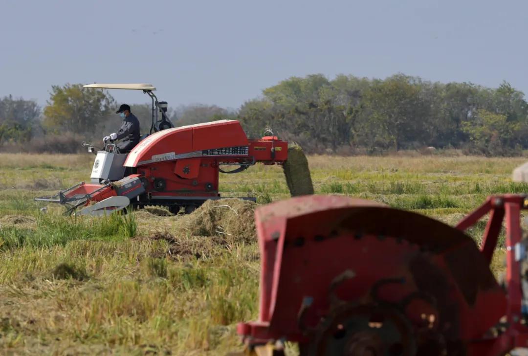 农机市场发展前景,2020年农机市场