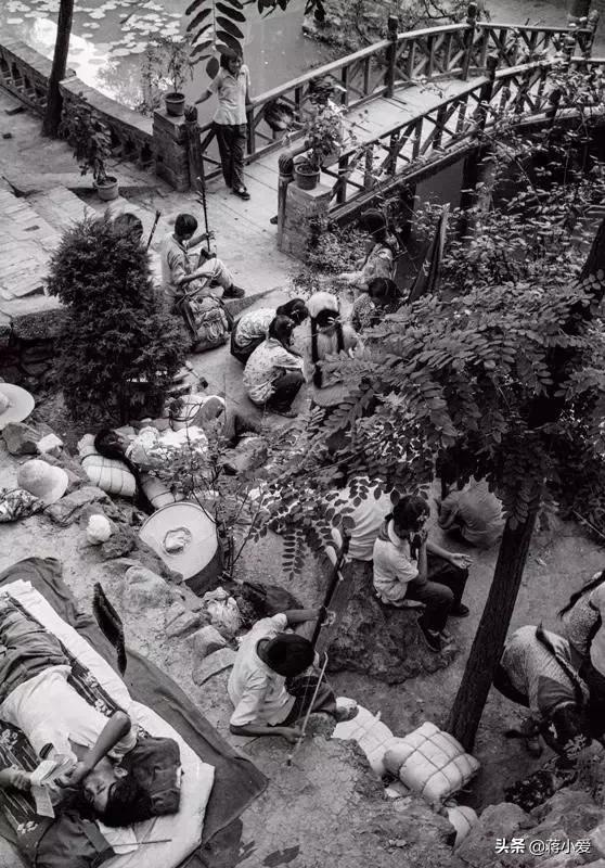 60年代新西兰,六十年代新西兰