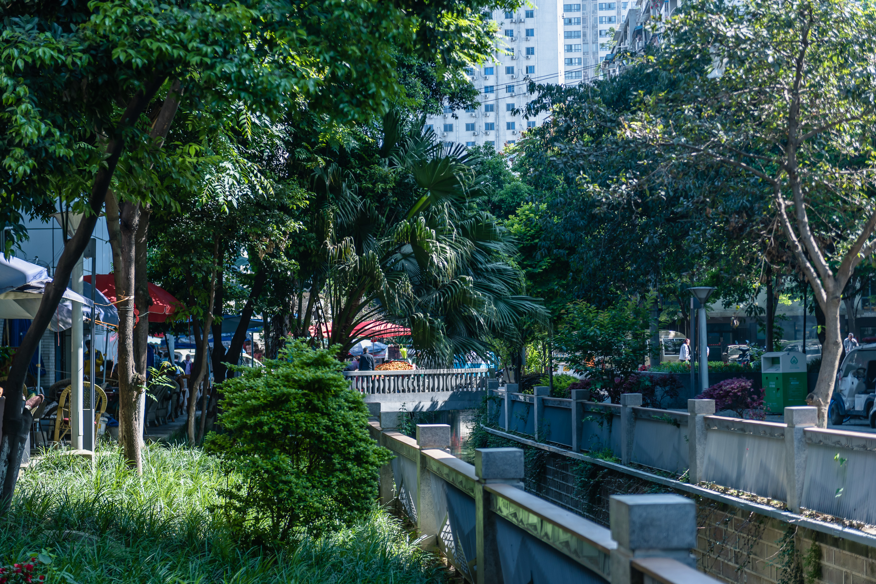 成都老城区改造,成都2024老城区改造