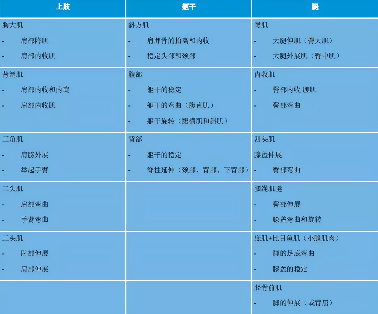 深圳王之者足球培训中心,王之者足球俱乐部体验课