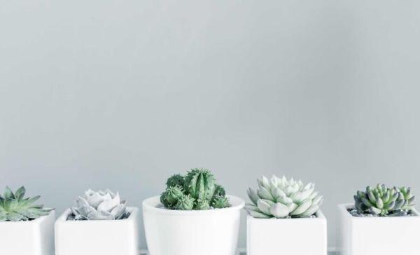 爱生气的人明白这三点就不生气了,容易生气的人要怎么控制情绪