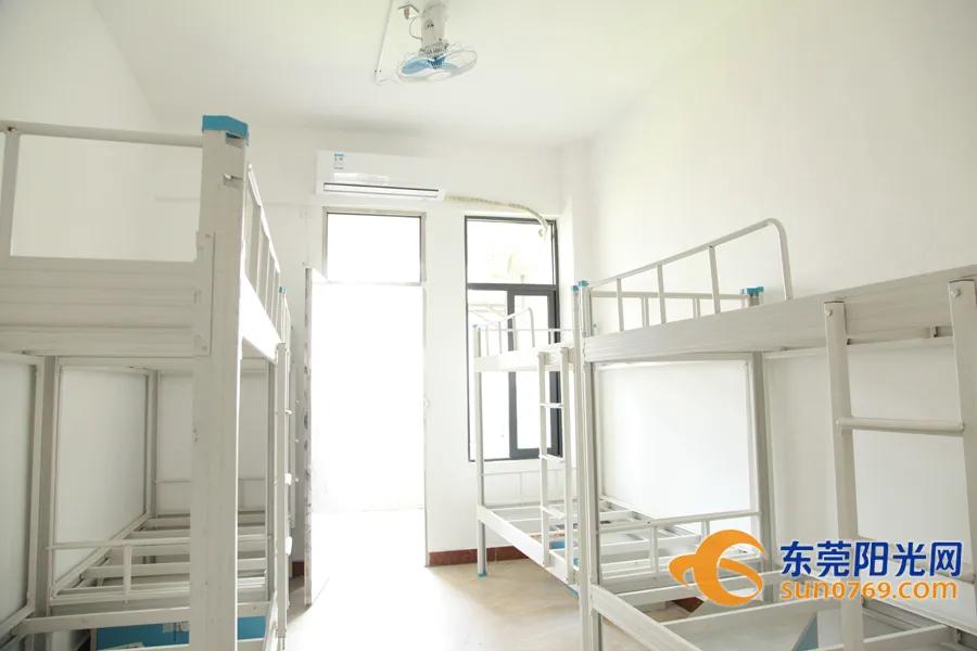 东莞这两年新增的公立学校,东莞市新增公办学校分布在哪里