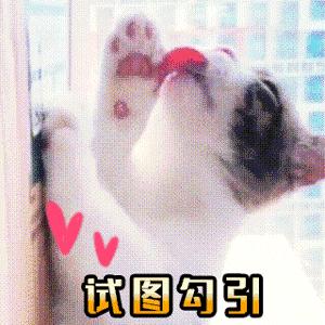 关于射手座的基本知识和方法,九句话带你了解射手座