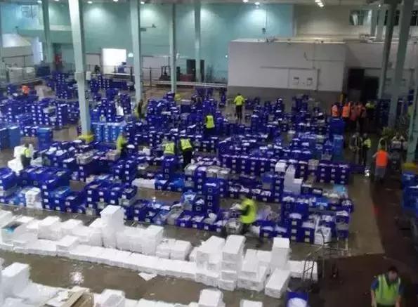 曝光黑心鱼商,悉尼海鲜鱼市场