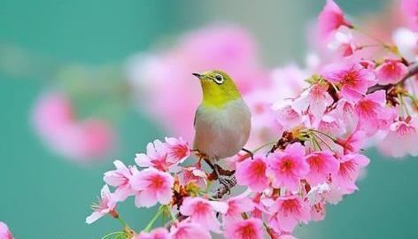 一个人老去真的好吗,一个人的成熟看透了人情世故