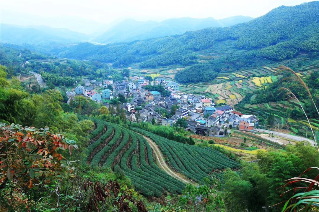 宁海休闲旅游,冬天宁海周末一日游最佳去处