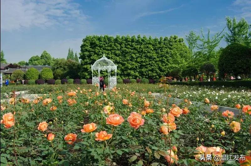 温江区十四五规划要做的十件大事,干大事