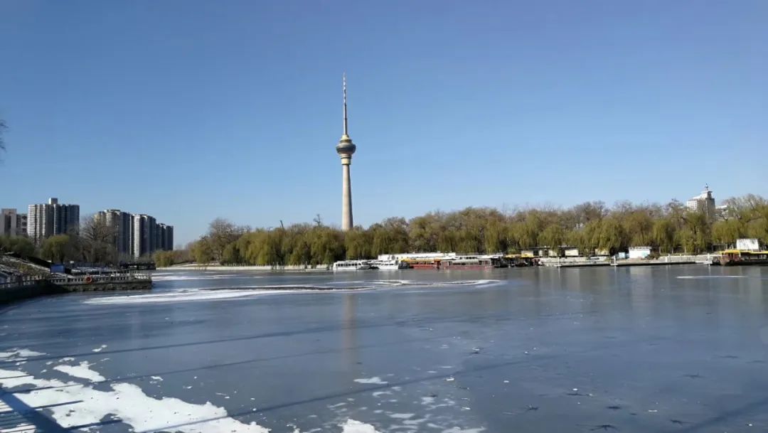 玉渊潭公园樱花新闻,玉渊潭公园樱花历史