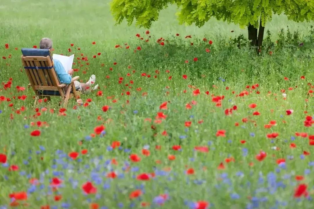 似水流年初中散文阅读,似水年华优美散文
