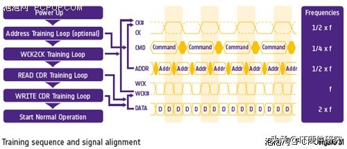 显卡型号知识普及显存,显卡架构历史