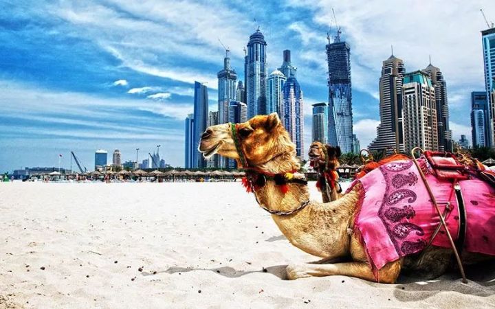 第一次去迪拜带多少钱,第一次去迪拜注意事项