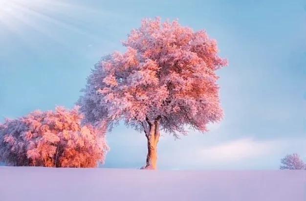 全面了解认识乳腺癌,了解乳房生理解剖