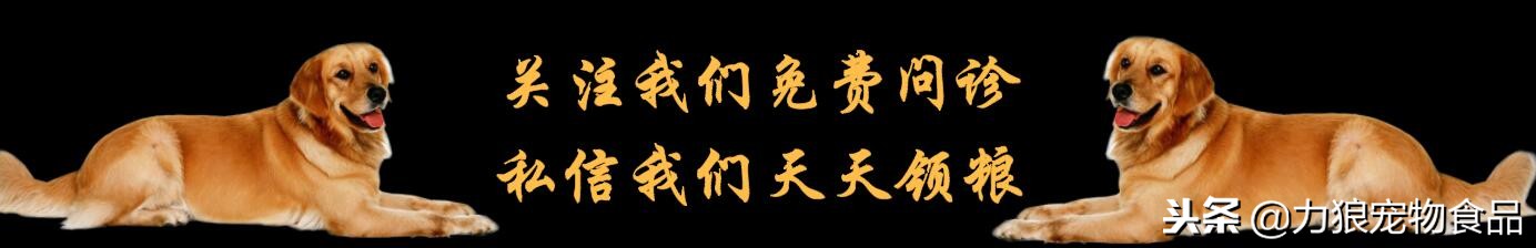 狗狗被蜱虫咬后为什么腿抖,狗狗出现了趴蹄怎么办