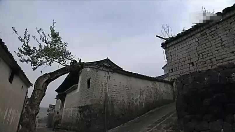 我的团长我的团主演去腾冲祭奠,我的团长我的团是在腾冲拍的吗