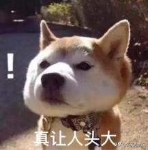 肚子胀气发泄,肚子里憋了一肚子气怎么发泄一下