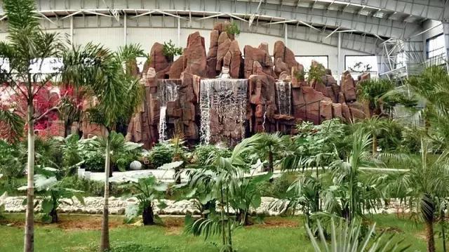 过年放下手机陪家人打牌,过年回家和朋友一起打麻将