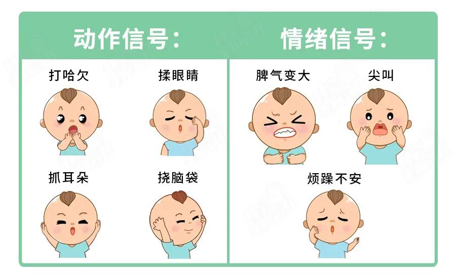 幼儿不午睡影响大脑发育吗,专家证实午睡对娃发育至关重要