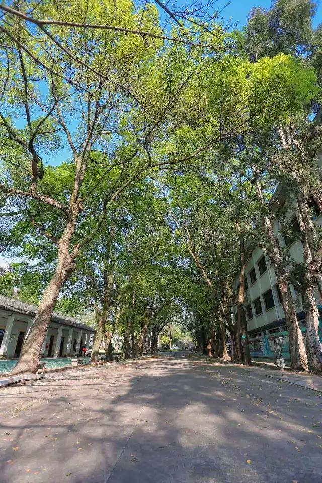 梅州最好的中学排名,梅州最美的学校