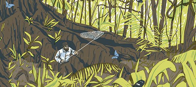 璇捐揪,璇捐揪鑹烘湳