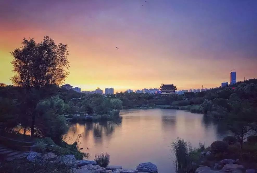 镇江上半年楼市,镇江楼市深度分析