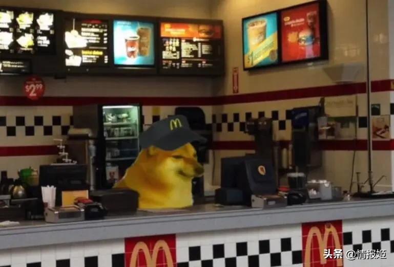 被做成表情包的柴犬doge,doge柴犬表情包万恶之源