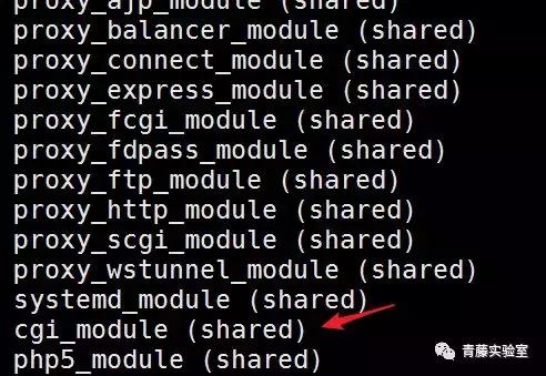 phpdisablefunctions,phpdisablefunction