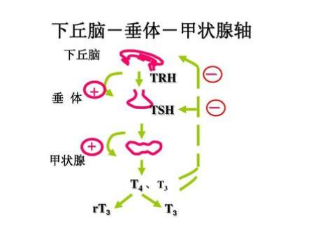 “孩子怕得发抖”！17岁男生成绩下降被逼补习，白癜风让母亲后悔