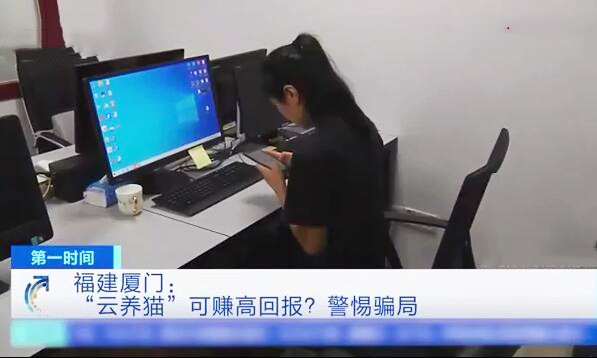 女子养了20只猫被骗,网络养猫诈骗案