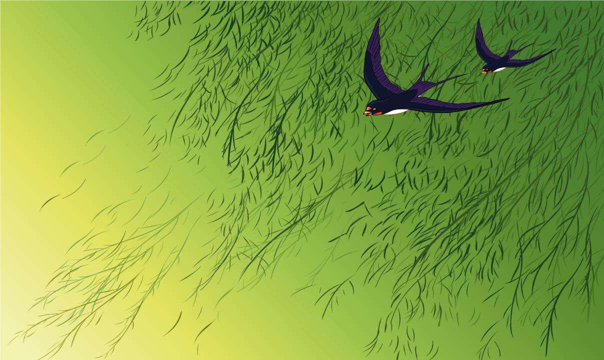 写动物的谜语小短文,猜动物谜语教案语文