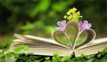 讨厌一个女人又要和她相处怎么办,如何学会和讨厌的人合作