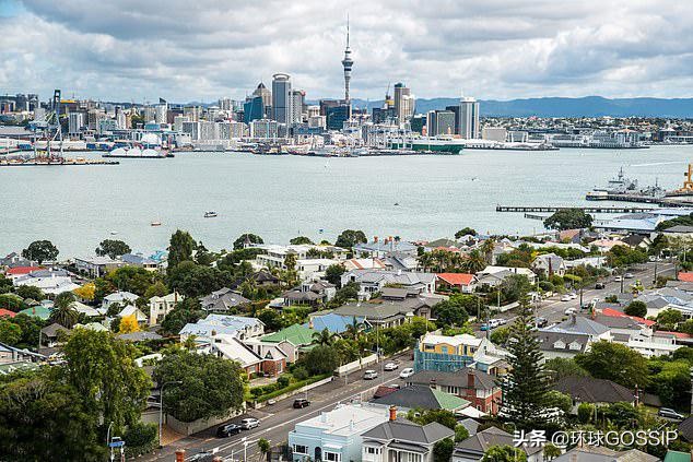 10元买了1000只鸡！新西兰男子错买整个鸡舍，好在他不是吃货