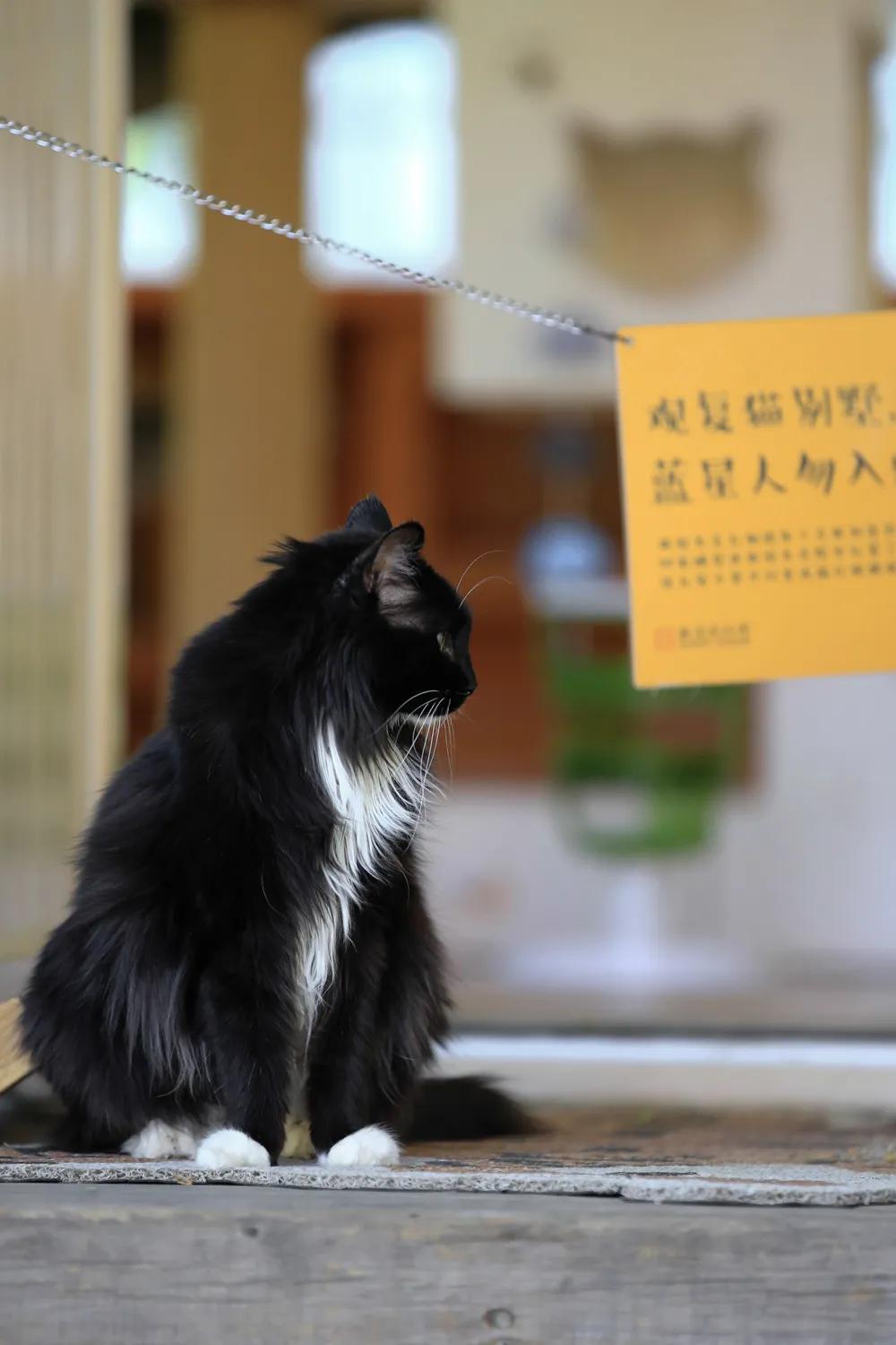 拼头条吗？好姐妹就要一起上啊