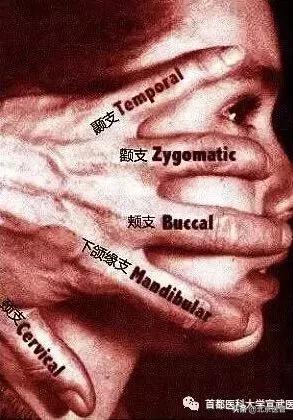 左眼皮上眼皮一直跳是什么预兆,左眼皮上眼皮跳是什么兆头