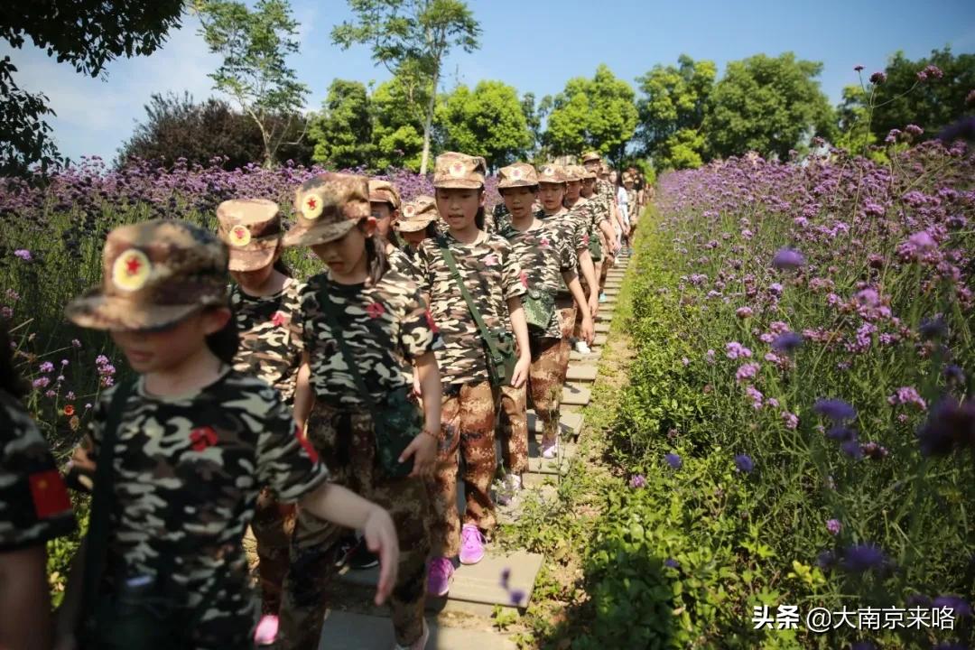 江苏教育频道特种兵军事夏令营,小小特种兵夏令营江苏广电