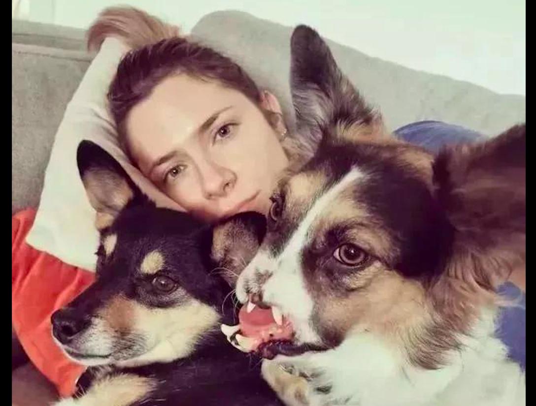 狗狗鼻子骨折什么表现,狗狗前腿骨折了需要多久自愈