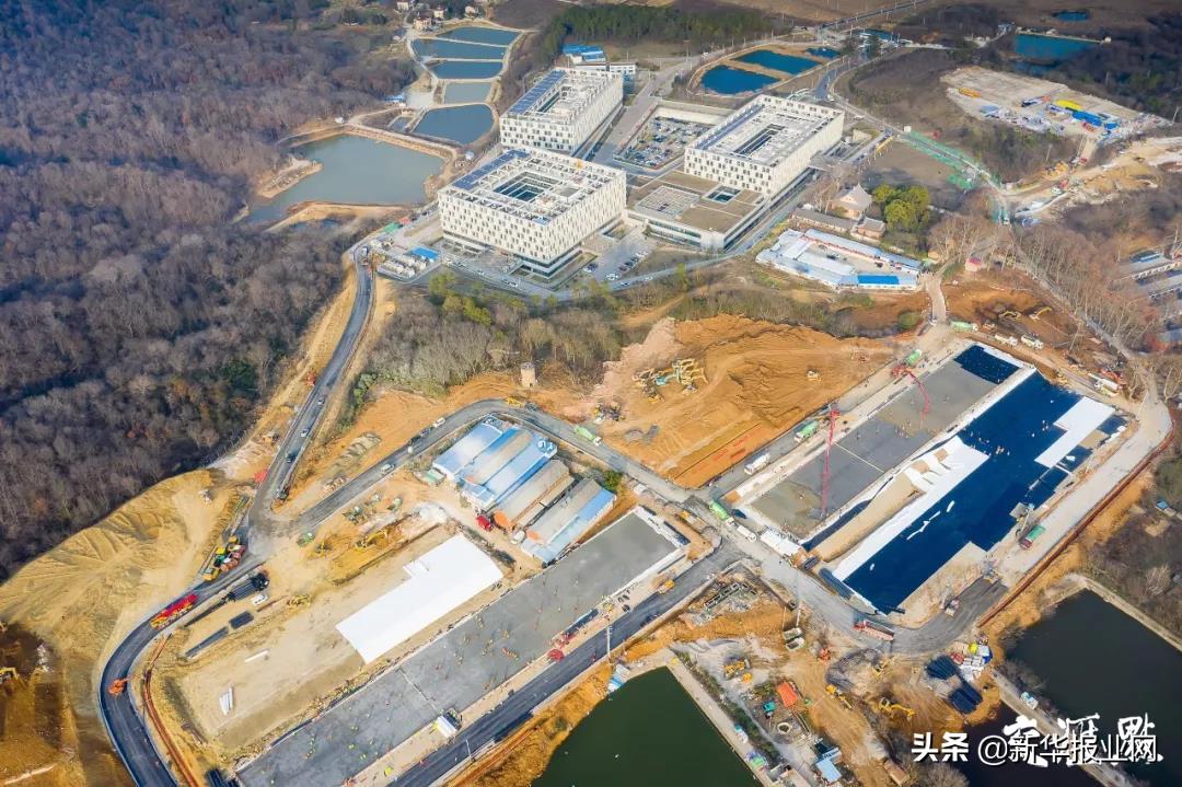 全国新型肺炎实时动态江苏,抗击新型肺炎江苏