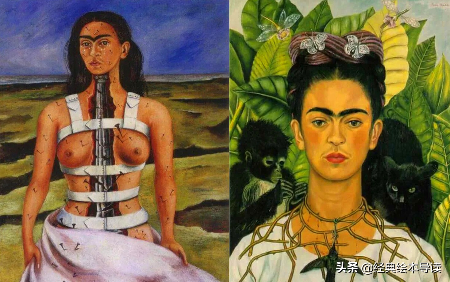 对盛放生命女人的致礼——《永远的弗里达》导读