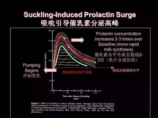 长期用吸奶器吸奶会影响泌乳吗,吸奶器吸奶怎么算一次完整泌乳