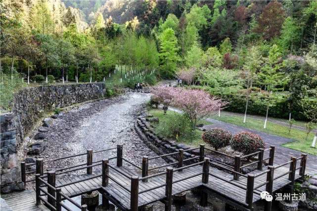悬崖栈道景区游览图,旅游绝壁栈道探险
