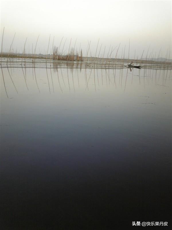 暑假里的生活有什么感受,暑假生活中感受到大自然的美好